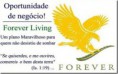 /album/galeria-de-fotos/oportunidade-de-negocio-forever-jpeg/